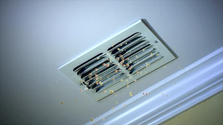 Best Local Air Duct Cleaning Services  in Tullahoma, TN