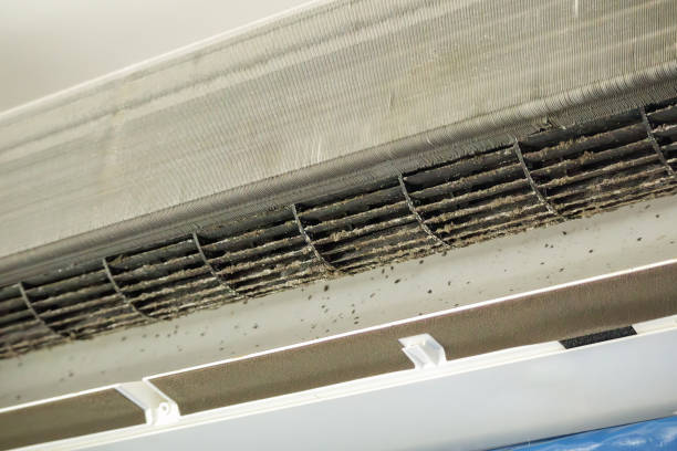 Best HVAC Maintenance and Cleaning  in Tullahoma, TN